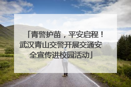 青警护苗，平安启程！武汉青山交警开展交通安全宣传进校园活动